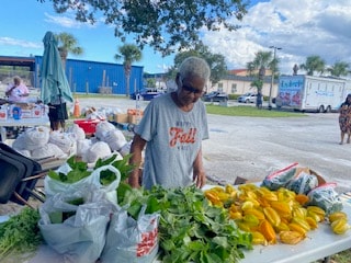 Fresh produce harvest display at the Riviera Beach Front Yard Farm