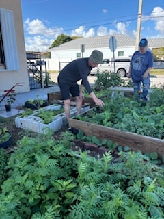 Adult volunteers working together in the Front Yard Farm garden beds