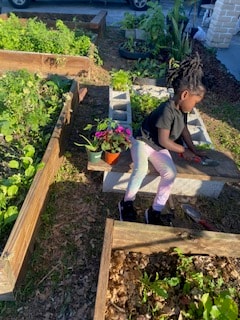 Young child tending raised garden beds at the Riviera Beach Front Yard Farm